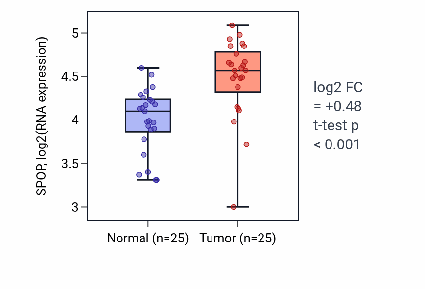 Tumor-vs-normal expression box plot for SPOP RNA in HNSC.