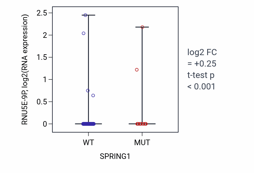 Box plot of RNU5E-9P in SPRING1-low vs SPRING1-high samples in UCEC.