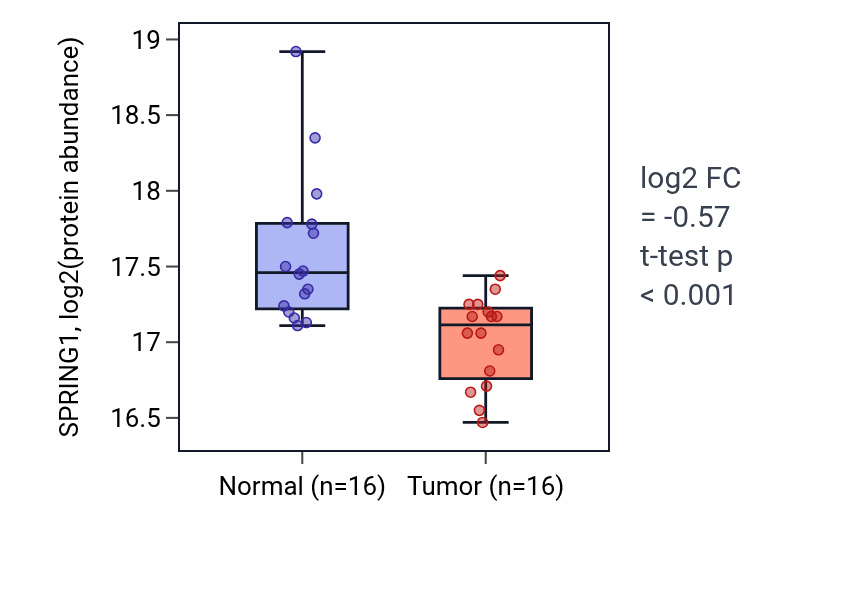 Tumor-vs-normal mass-spec protein box plot for SPRING1 in LSCC.