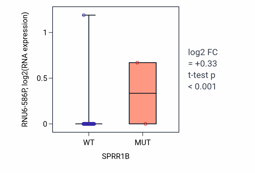 Box plot of RNU6-586P in SPRR1B-low vs SPRR1B-high samples in BLCA.