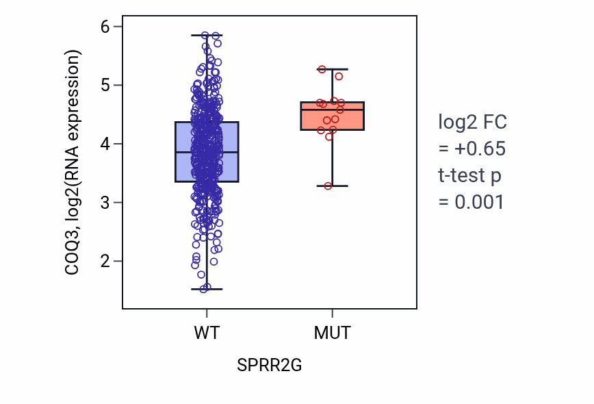 Box plot of COQ3 in SPRR2G-low vs SPRR2G-high samples in SKCM.
