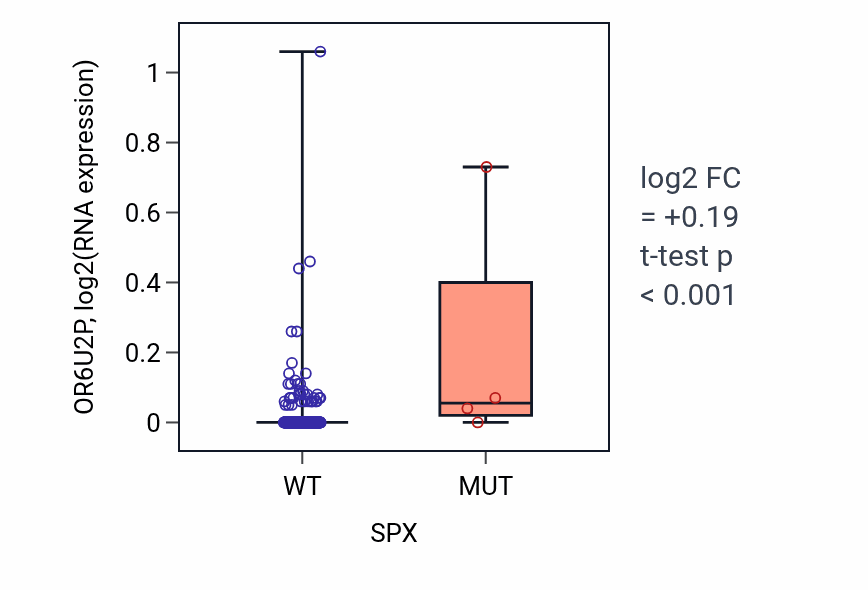 Box plot of OR6U2P in SPX-low vs SPX-high samples in STAD.