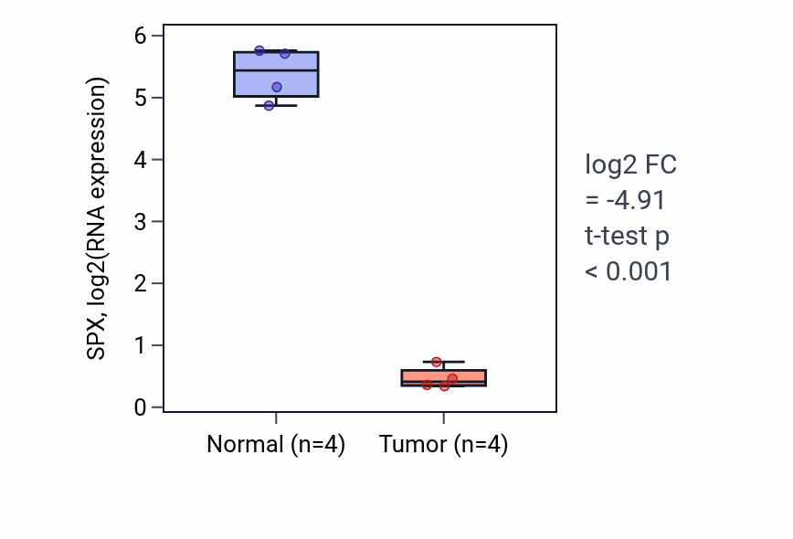 Tumor-vs-normal expression box plot for SPX RNA in THCA.