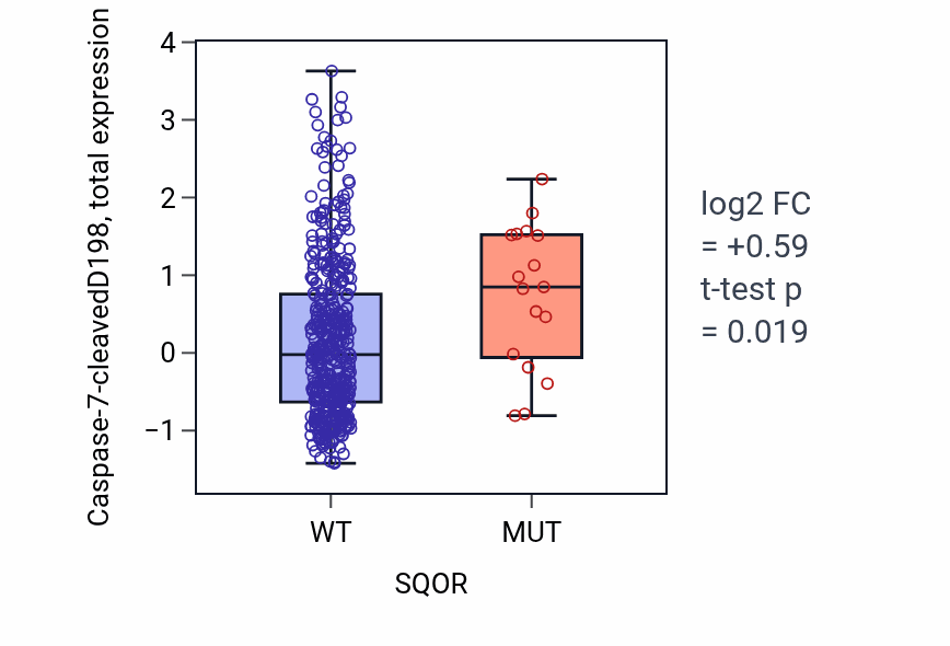 Box plot of Caspase-7-cleavedD198 in SQOR-low vs SQOR-high samples in UCEC.
