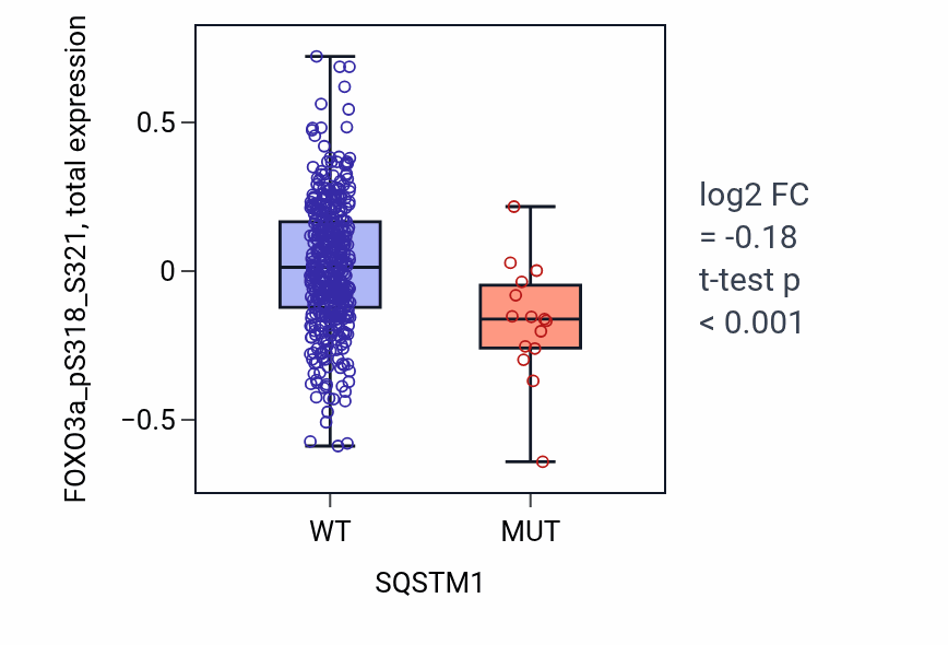 Box plot of FOXO3a_pS318_S321 in SQSTM1-low vs SQSTM1-high samples in UCEC.