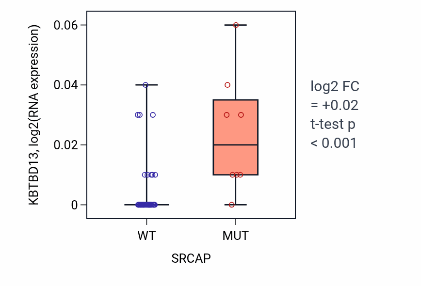 Box plot of KBTBD13 in SRCAP-low vs SRCAP-high samples in LUNG_SCLC.