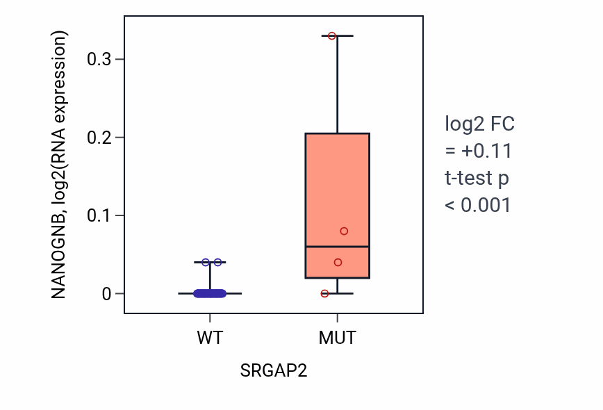 Box plot of NANOGNB in SRGAP2-low vs SRGAP2-high samples in LUNG_NSCLC_LUAD.