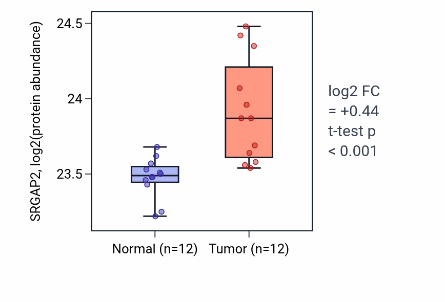 Tumor-vs-normal mass-spec protein box plot for SRGAP2 in CCRCC.