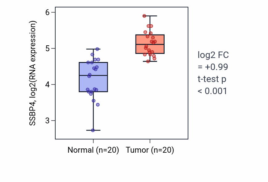 Tumor-vs-normal expression box plot for SSBP4 RNA in KIRC.