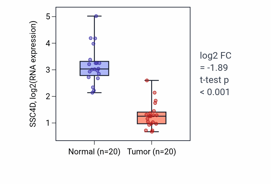 Tumor-vs-normal expression box plot for SSC4D RNA in KIRC.