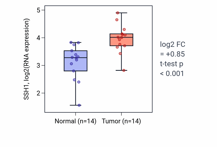 Tumor-vs-normal expression box plot for SSH1 RNA in HNSC.