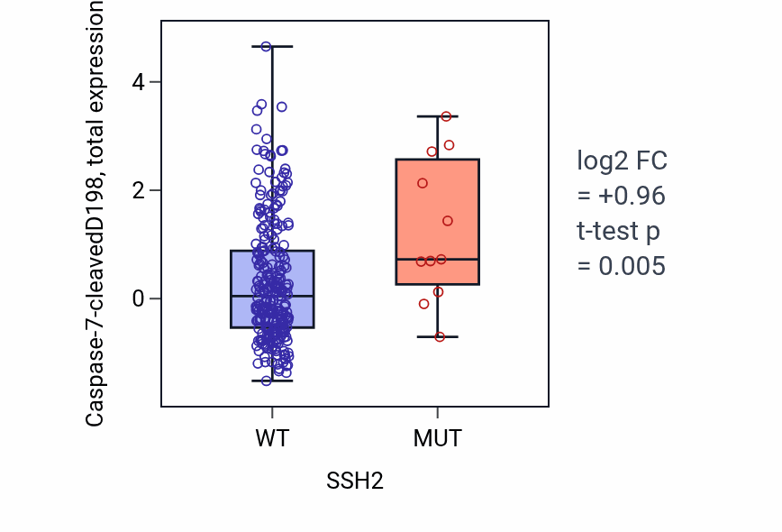 Box plot of Caspase-7-cleavedD198 in SSH2-low vs SSH2-high samples in STAD.