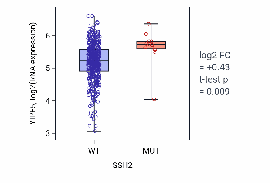 Box plot of YIPF5 in SSH2-low vs SSH2-high samples in COAD.