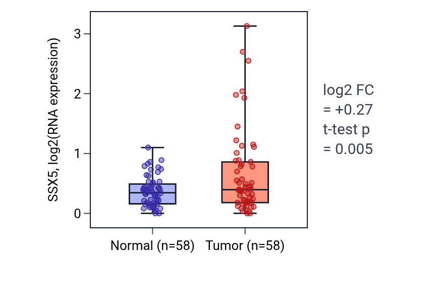 Tumor-vs-normal expression box plot for SSX5 RNA in THCA.