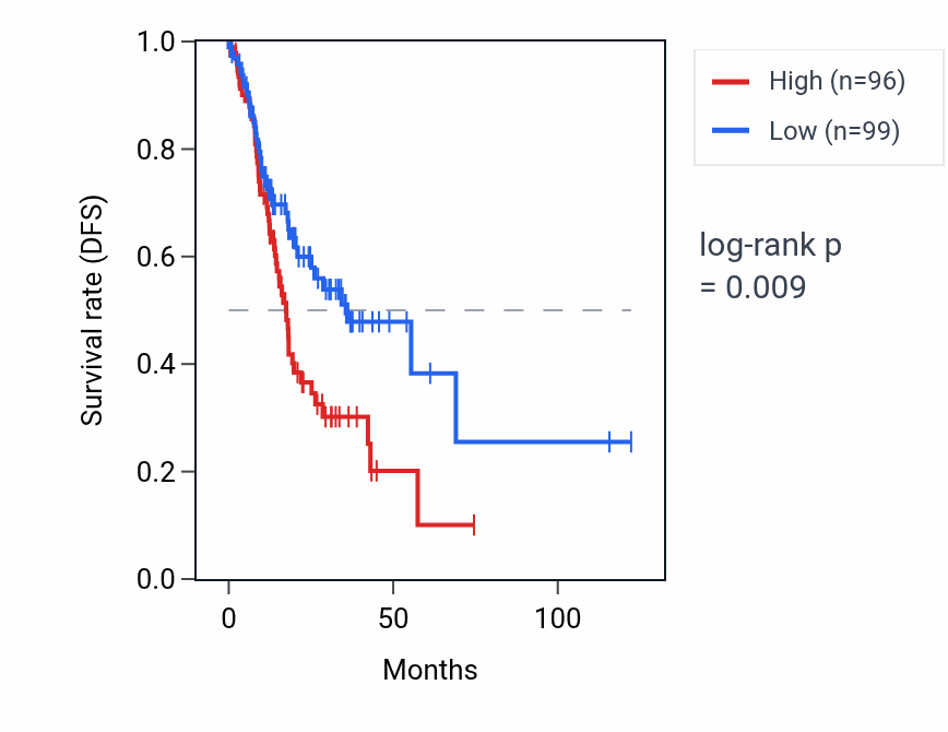 Kaplan&ndash;Meier survival curve for ST13P11 RNA expression in STAD: high vs low expression groups.