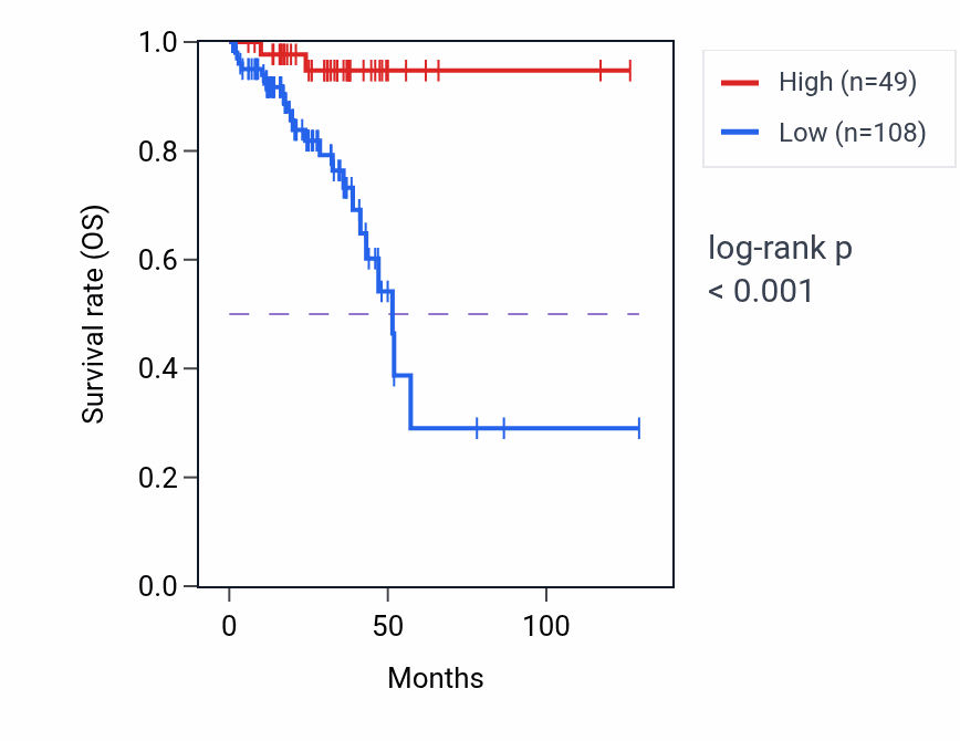 Kaplan&ndash;Meier survival curve for ST13P2 RNA expression in READ: high vs low expression groups.