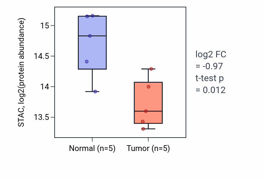 Tumor-vs-normal mass-spec protein box plot for STAC in LSCC.