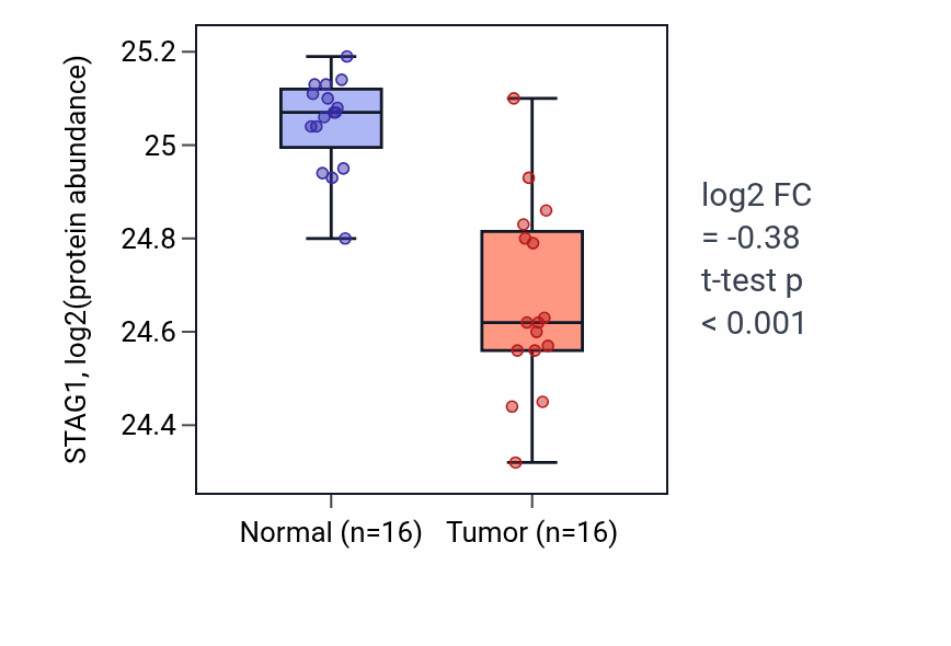 Tumor-vs-normal mass-spec protein box plot for STAG1 in LUAD.