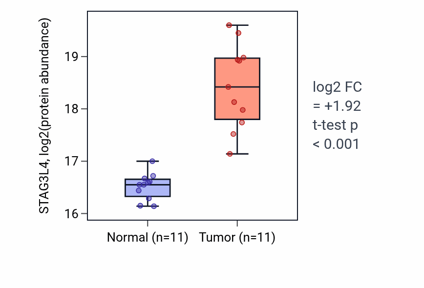 Tumor-vs-normal mass-spec protein box plot for STAG3L4 in CCRCC.