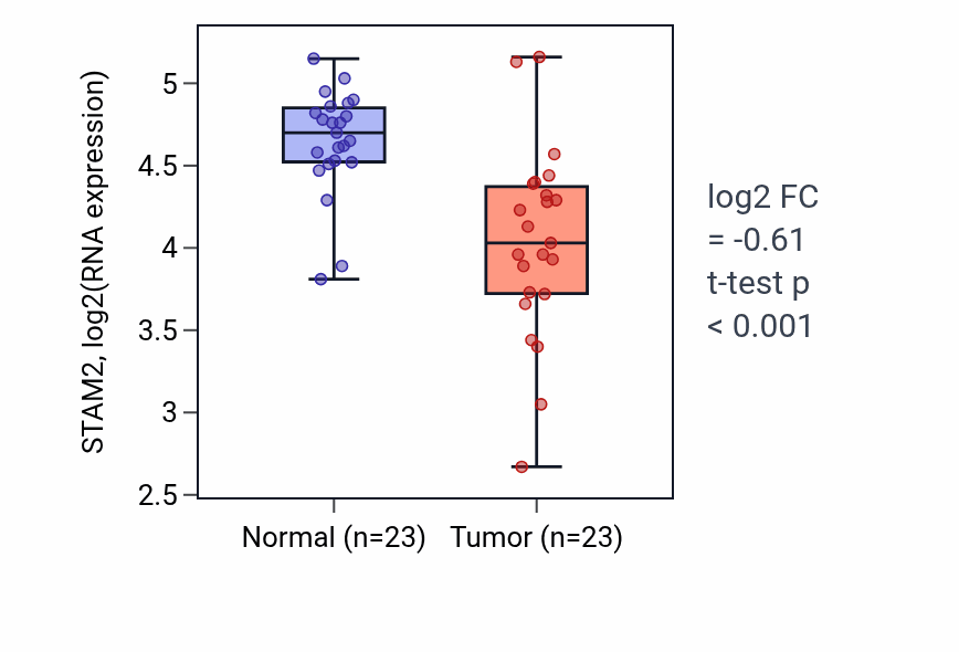 Tumor-vs-normal expression box plot for STAM2 RNA in THCA.