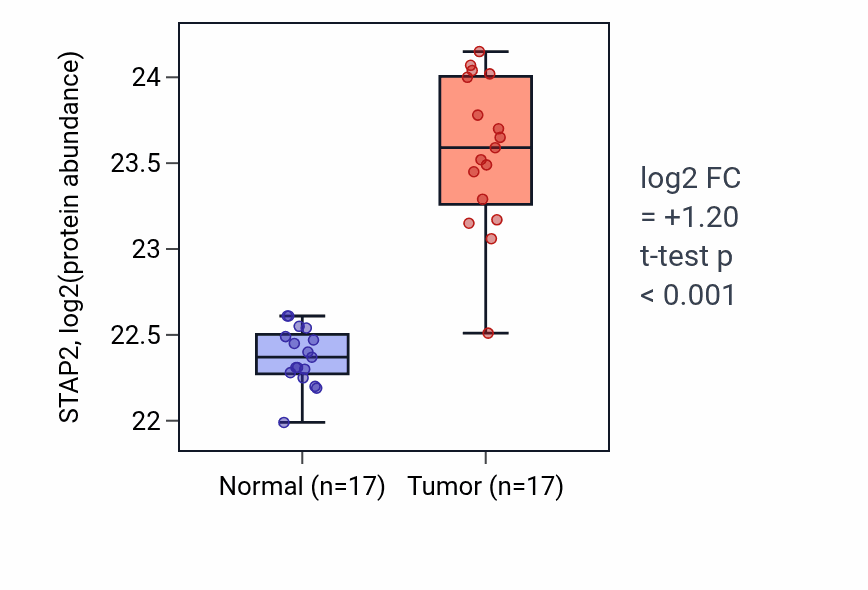Tumor-vs-normal mass-spec protein box plot for STAP2 in LSCC.