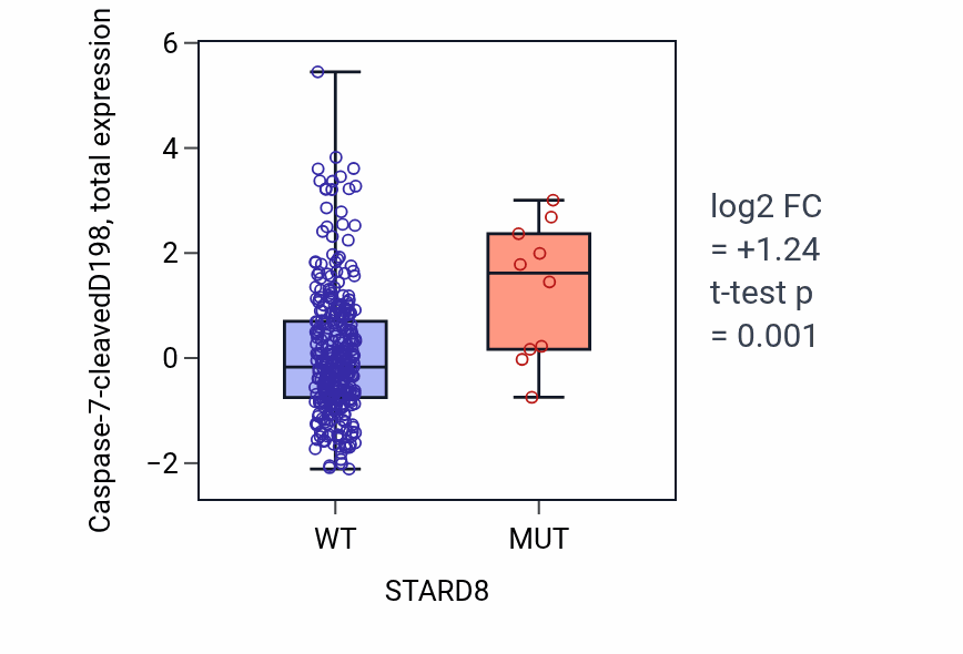 Box plot of Caspase-7-cleavedD198 in STARD8-low vs STARD8-high samples in COAD.