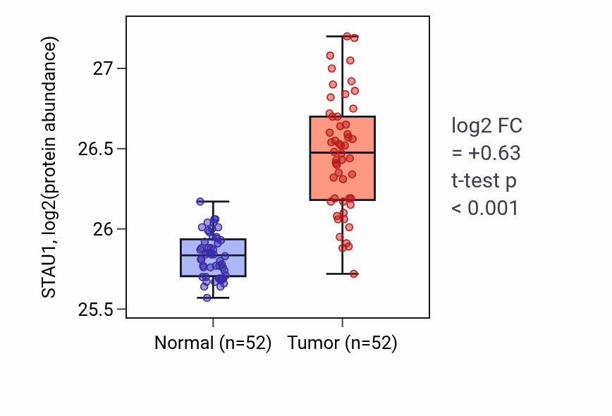 Tumor-vs-normal mass-spec protein box plot for STAU1 in COAD.