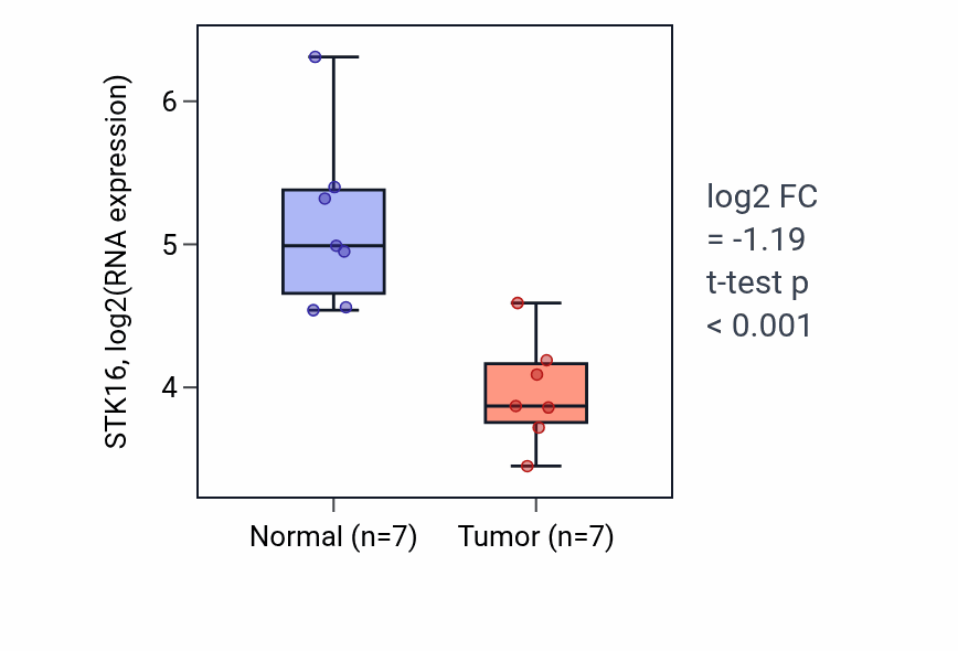 Tumor-vs-normal expression box plot for STK16 RNA in KICH.