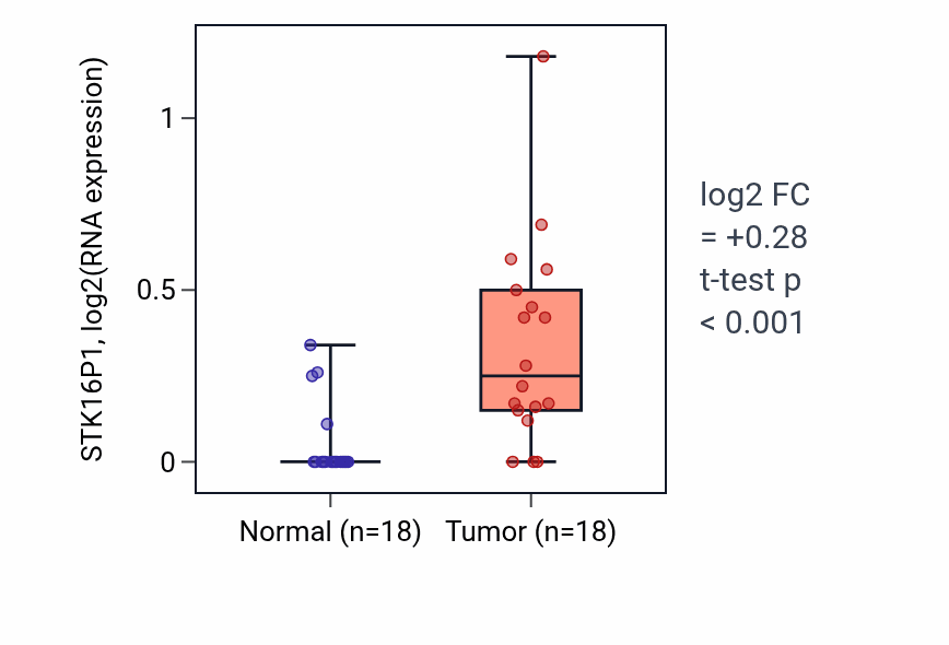 Tumor-vs-normal expression box plot for STK16P1 in BLCA.