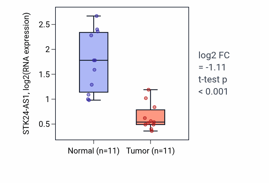 Tumor-vs-normal expression box plot for STK24-AS1 in KICH.