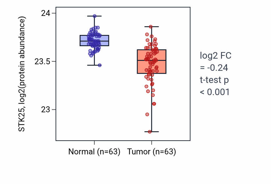 Tumor-vs-normal mass-spec protein box plot for STK25 in CCRCC.