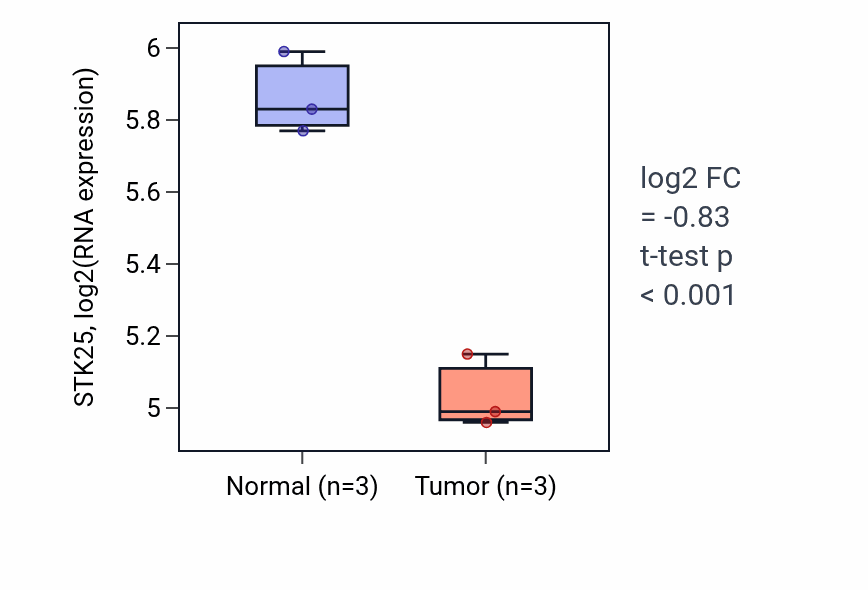 Tumor-vs-normal expression box plot for STK25 RNA in THCA.