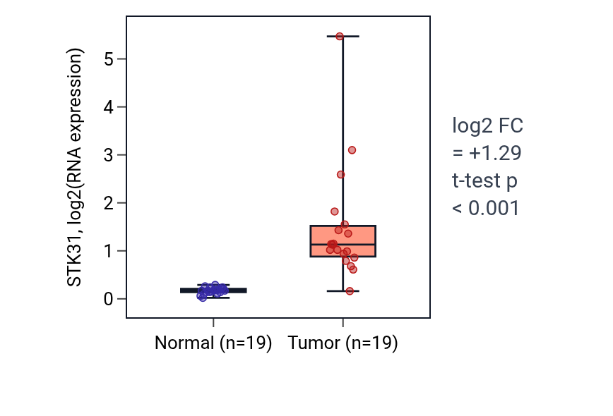 Tumor-vs-normal expression box plot for STK31 in COAD.