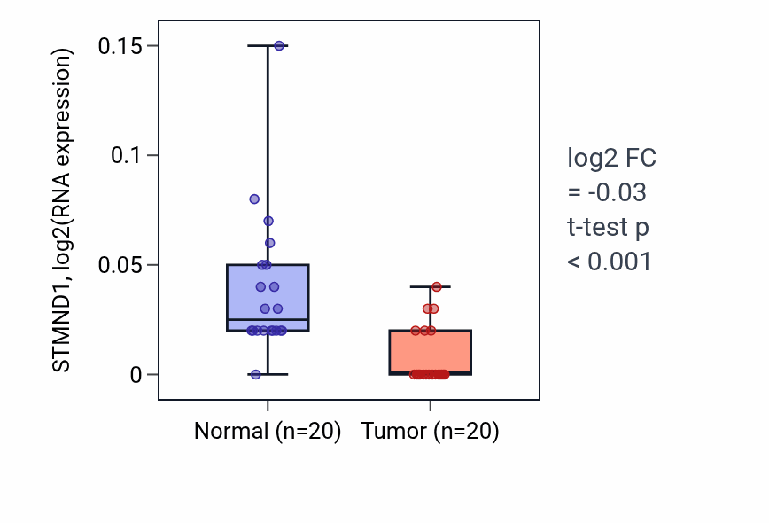 Tumor-vs-normal expression box plot for STMND1 in KIRC.