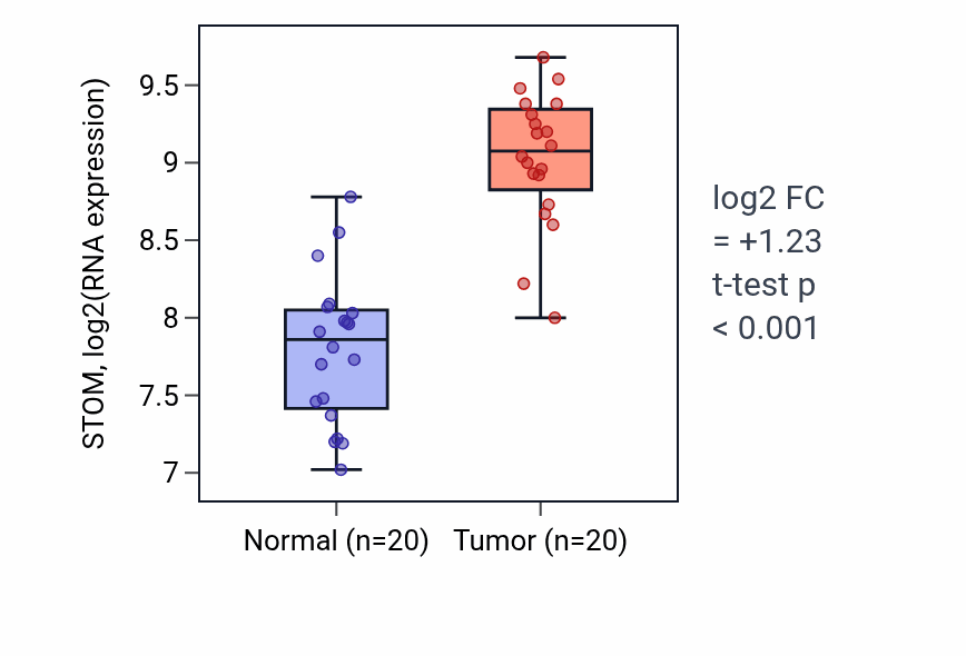 Tumor-vs-normal expression box plot for STOM RNA in KIRC.