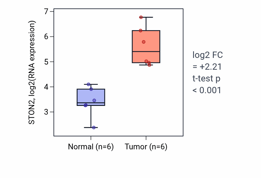 Tumor-vs-normal expression box plot for STON2 RNA in HNSC.