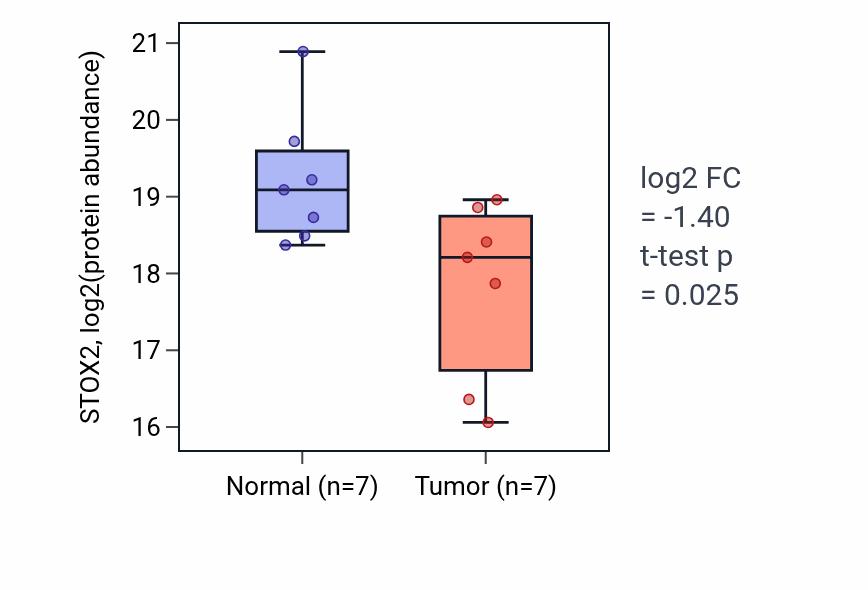 Tumor-vs-normal mass-spec protein box plot for STOX2 in HNSC.
