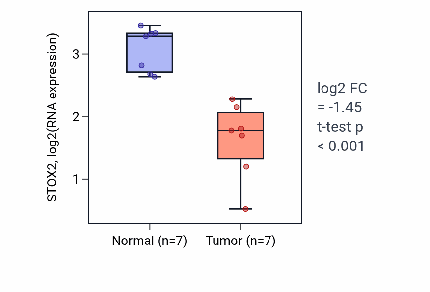 Tumor-vs-normal expression box plot for STOX2 RNA in THCA.