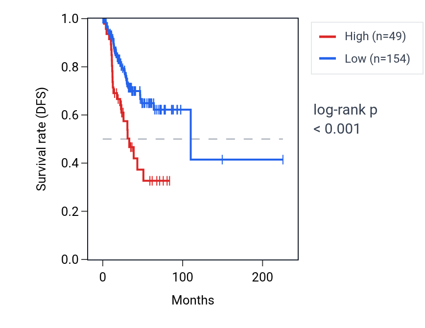 Kaplan&ndash;Meier survival curve for STPG2-AS1 RNA expression in UCEC: high vs low expression groups.