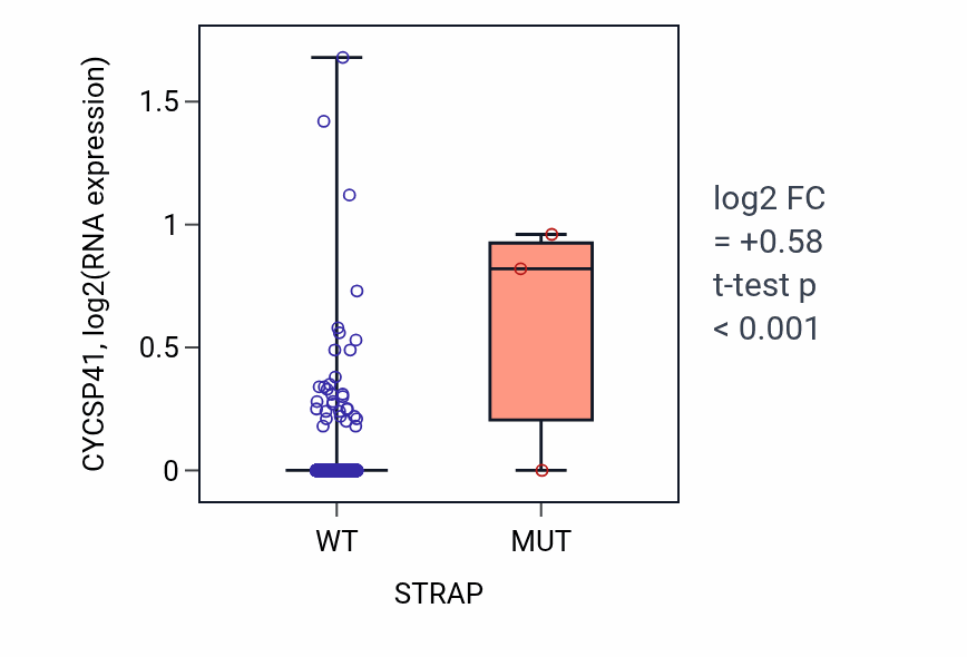 Box plot of CYCSP41 in STRAP-low vs STRAP-high samples in BRCA.