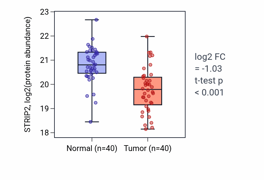 Tumor-vs-normal mass-spec protein box plot for STRIP2 in CCRCC.