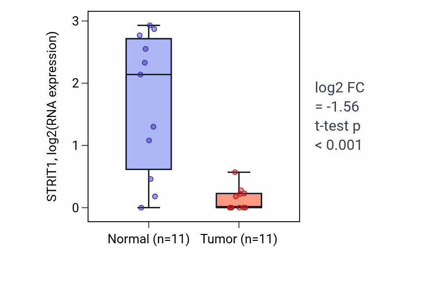 Tumor-vs-normal expression box plot for STRIT1 RNA in KIRP.