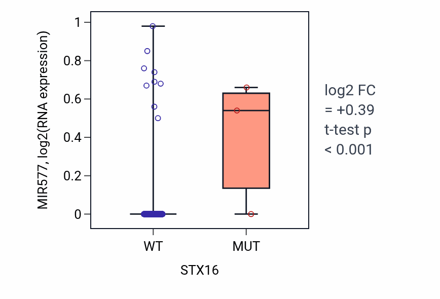 Box plot of MIR577 in STX16-low vs STX16-high samples in SKCM.
