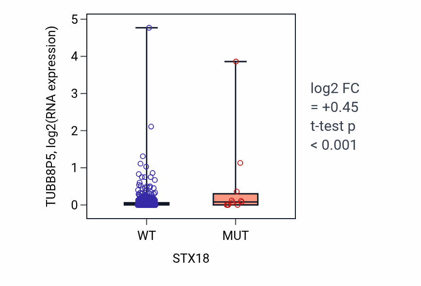 Box plot of TUBB8P5 in STX18-low vs STX18-high samples in UCEC.