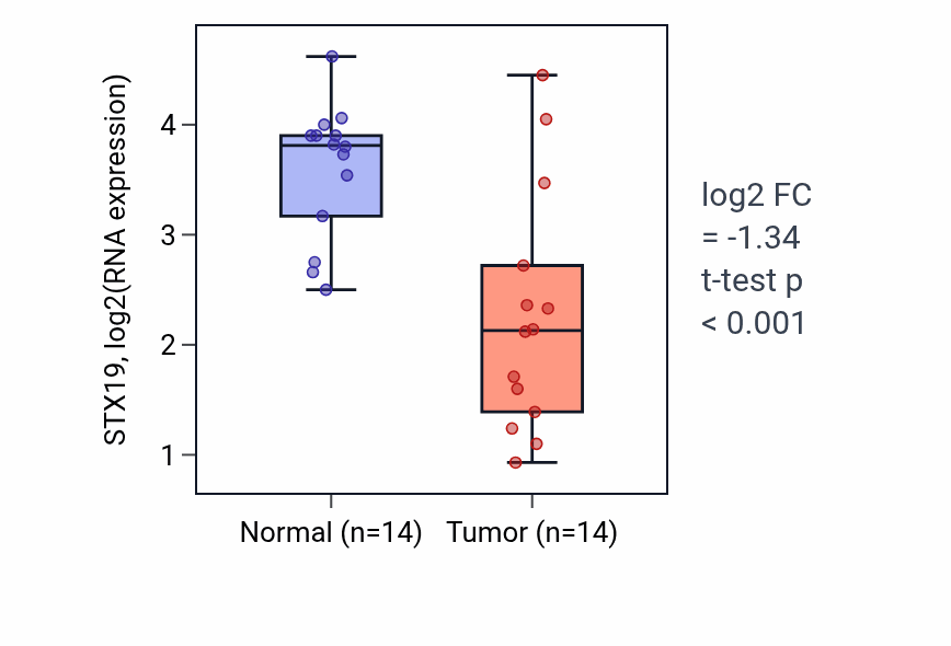 Tumor-vs-normal expression box plot for STX19 RNA in HNSC.
