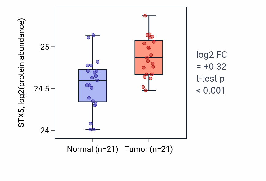 Tumor-vs-normal mass-spec protein box plot for STX5 in HNSC.
