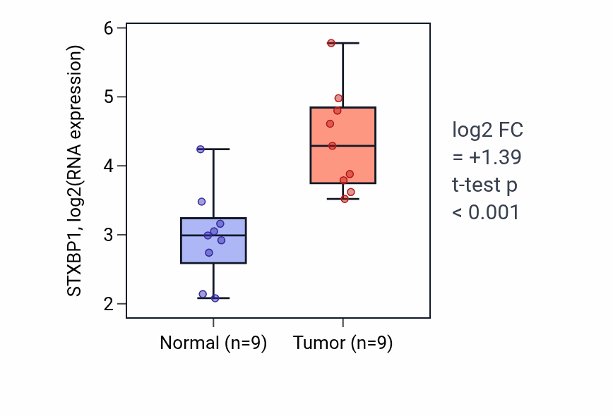 Tumor-vs-normal expression box plot for STXBP1 RNA in HNSC.