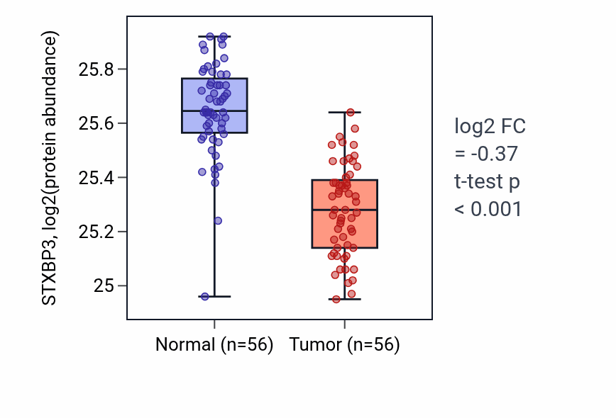 Tumor-vs-normal mass-spec protein box plot for STXBP3 in HNSC.