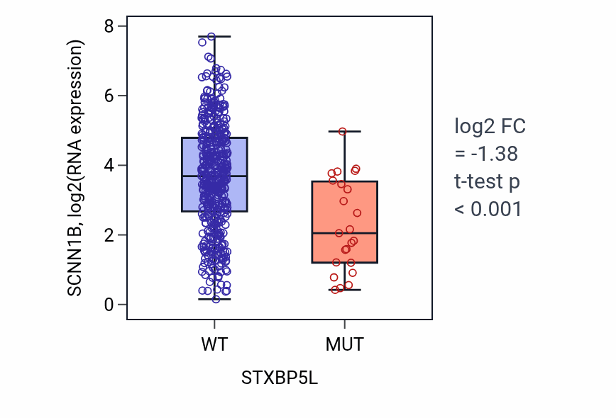Box plot of SCNN1B in STXBP5L-low vs STXBP5L-high samples in LUSC.