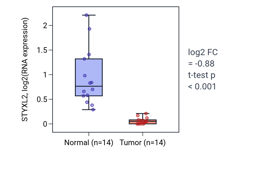 Tumor-vs-normal expression box plot for STYXL2 in LUSC.